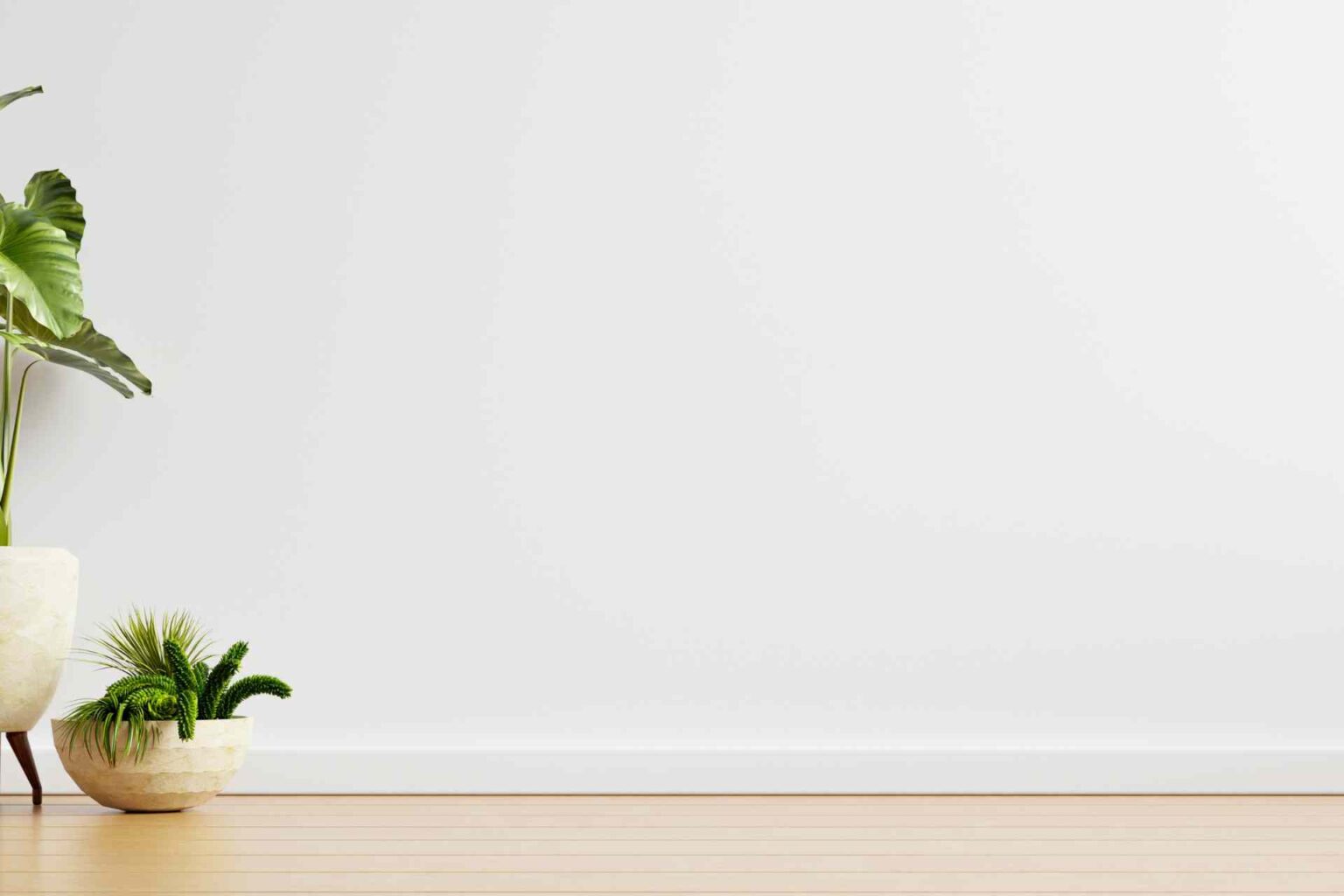 How White Walls And Wood Floors Will Make You Feel - Floor Sanding London