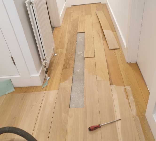 Holland Park London W8 before 1